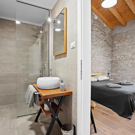 Casa 42 Pet Friendly For 9 People In Istria With Salt - Water Pool Vila